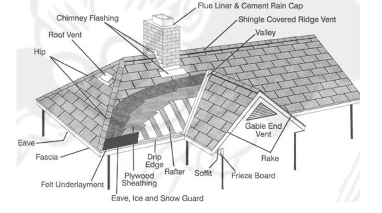 Peak to Peak Roofing: Is Your Roof Healthy?